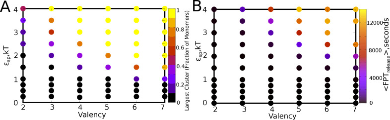 Figure 8—figure supplement 1.