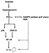 Fig. 10