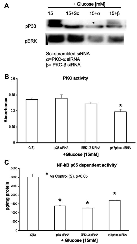 Fig. 9