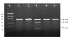 [Table/Fig-1]: