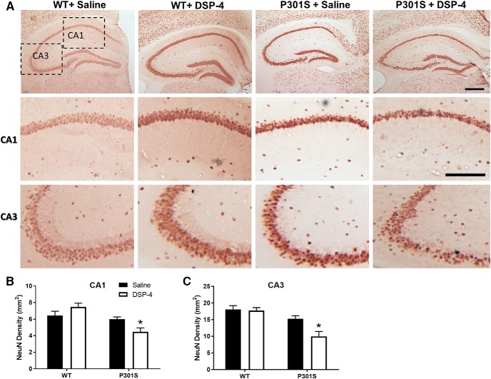 Figure 10.