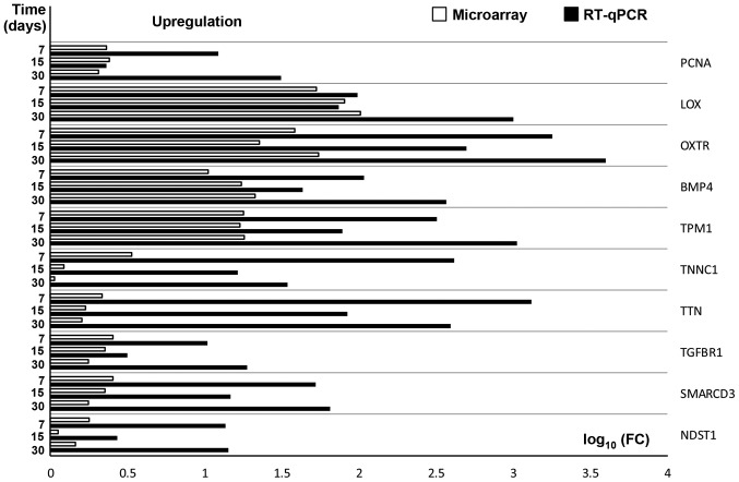 Figure 4.