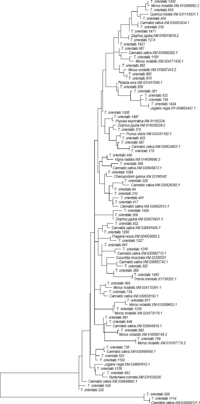 Fig 5