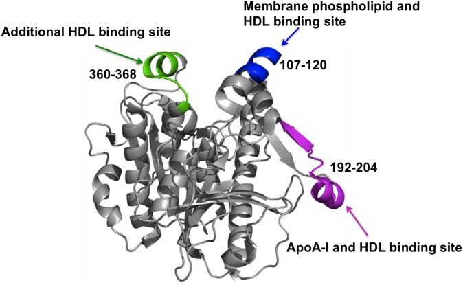 Fig. 6.