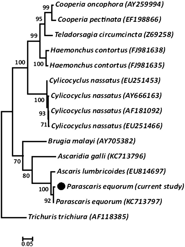 Fig. 3