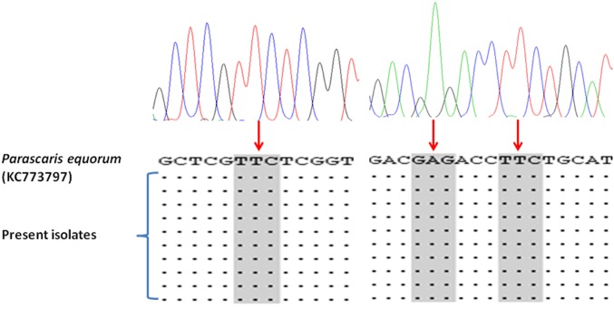 Fig. 2