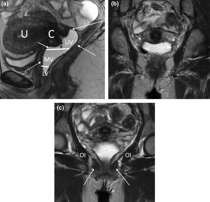 Fig. 8