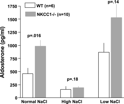 Fig. 12.