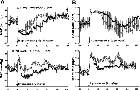 Fig. 13.