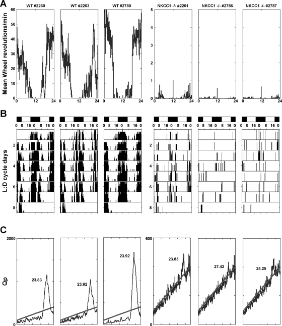 Fig. 4.