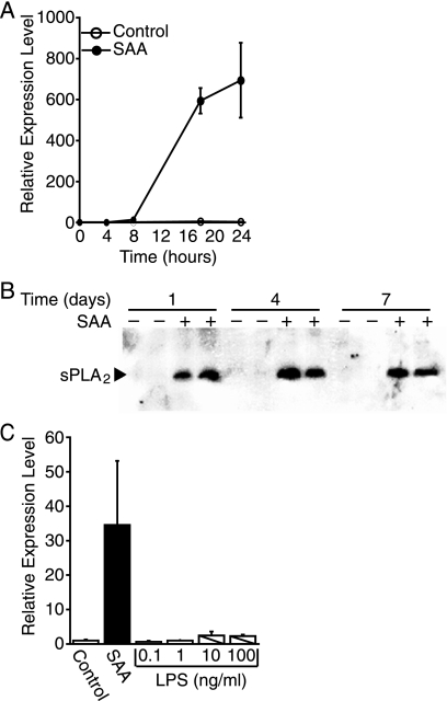 FIGURE 1.