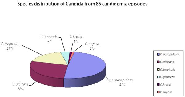 Graphic 1