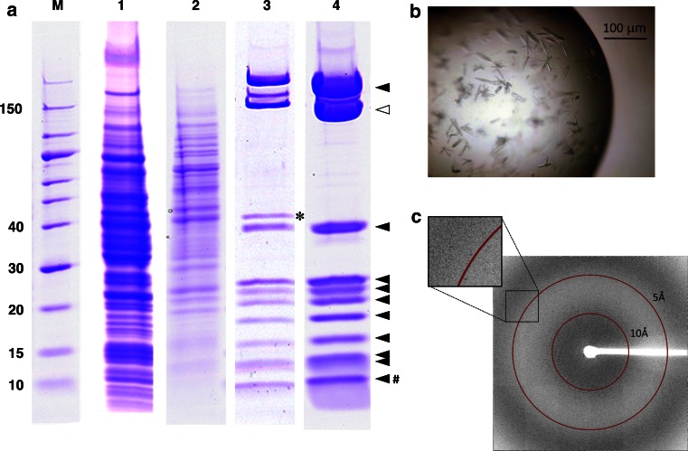 Fig. 4