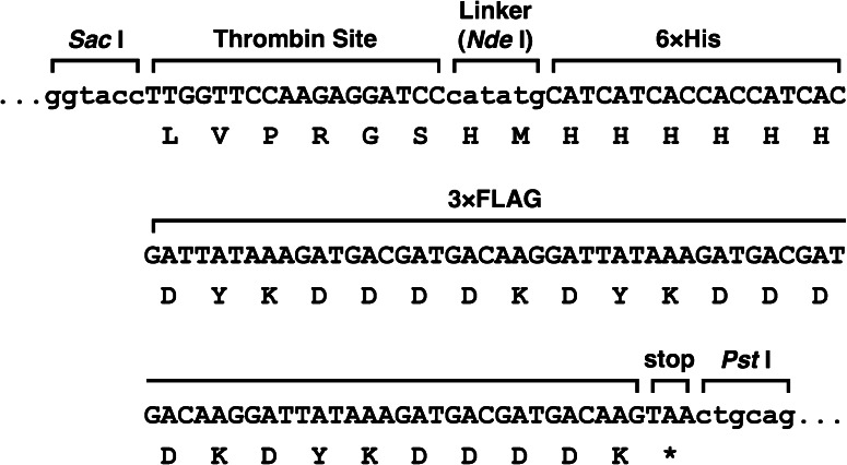 Fig. 1