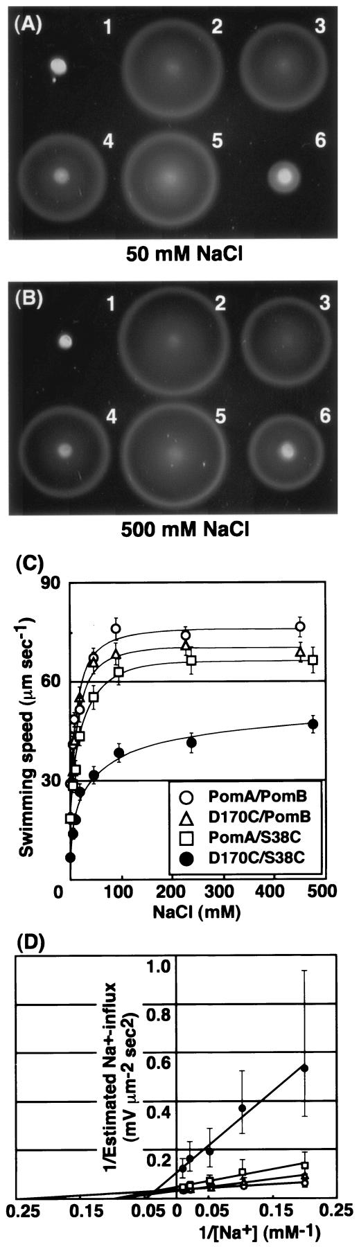 FIG. 7.