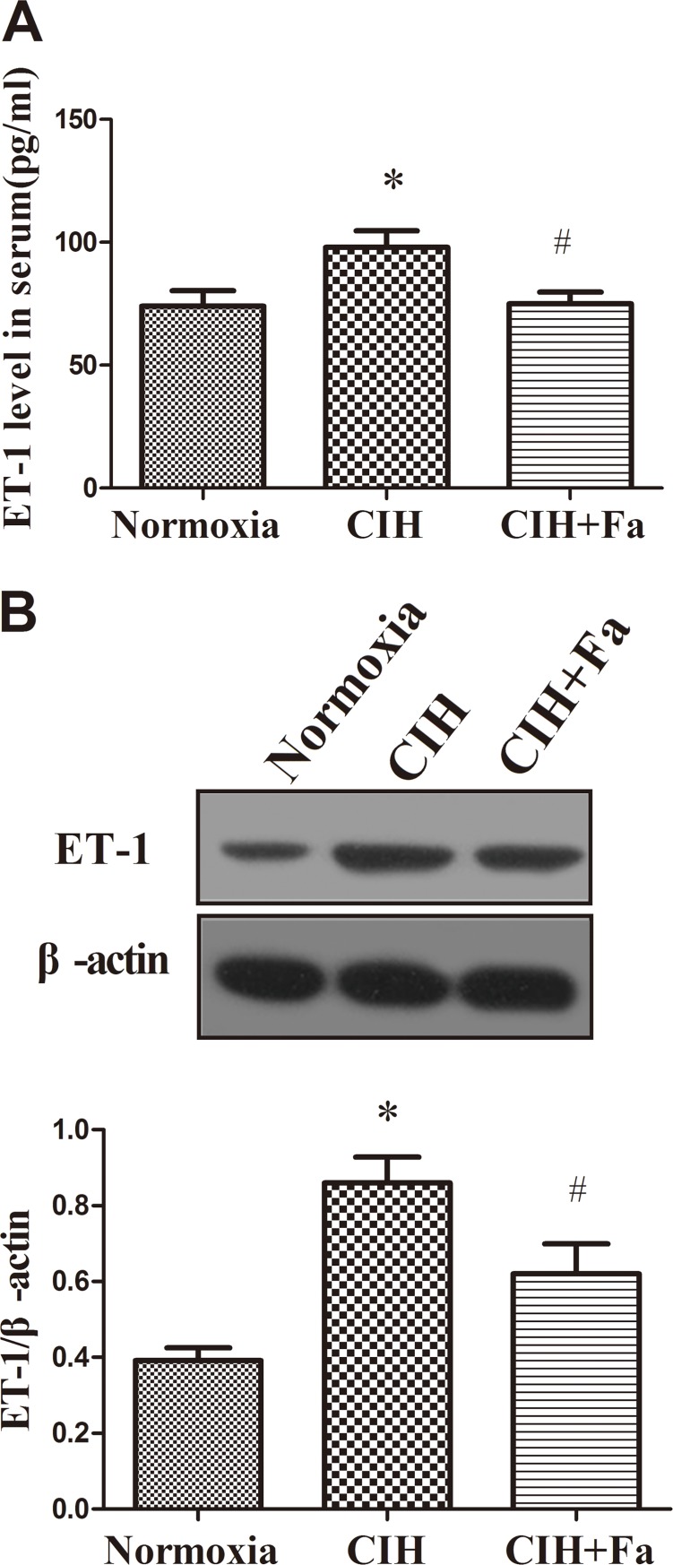 Fig 5