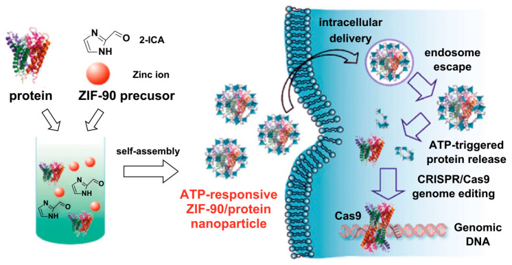 Figure 11