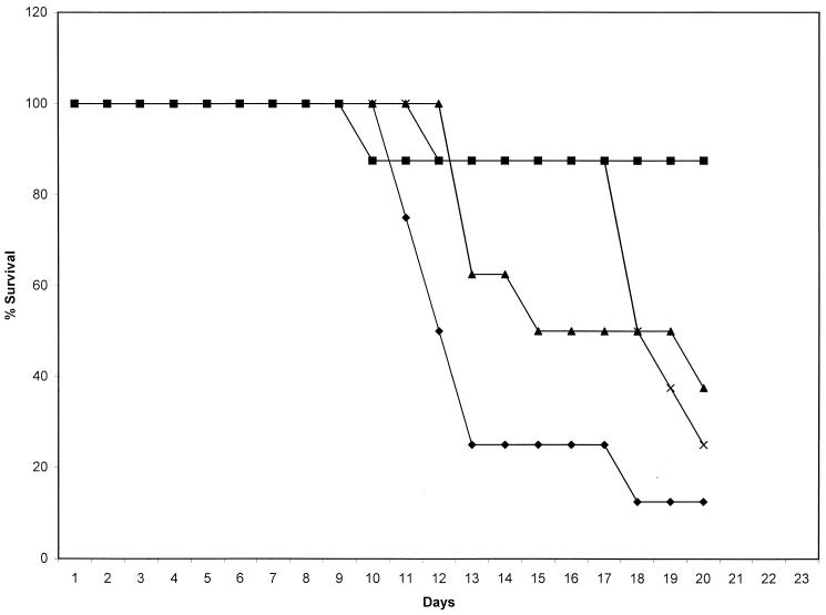 FIG. 7