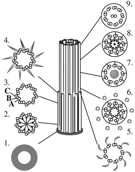 Figure 10.