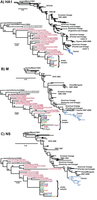 FIG. 1.