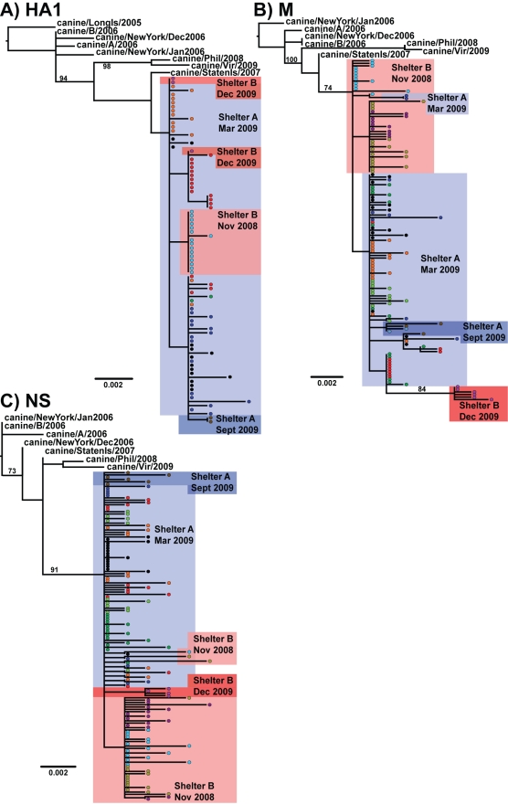 FIG. 2.