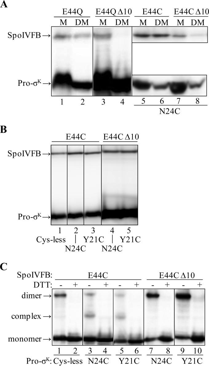 FIGURE 4.