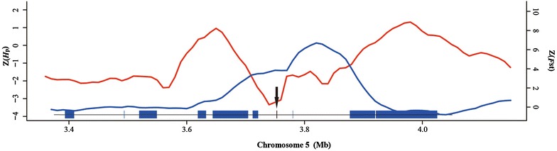 Fig. 2