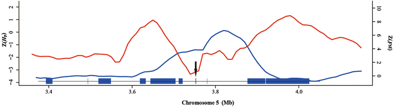 Fig. 2