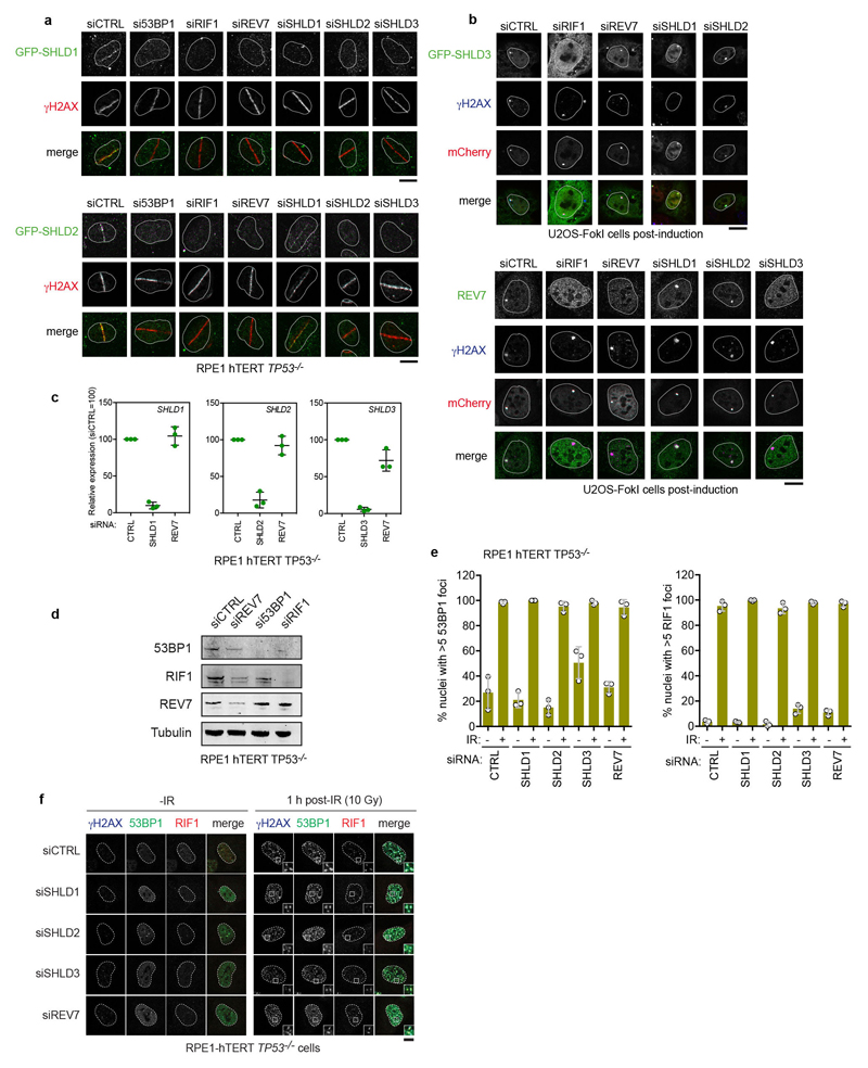 ED Figure 4