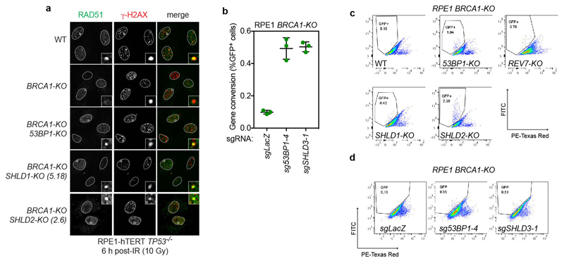 ED Figure 2