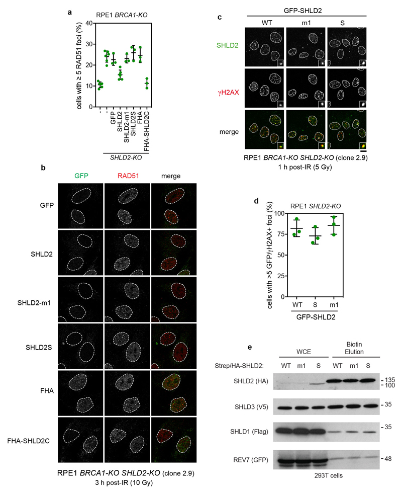 ED Figure 10