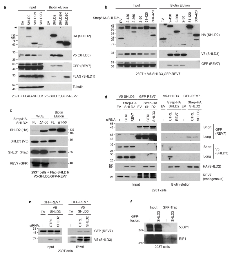 ED Figure 7