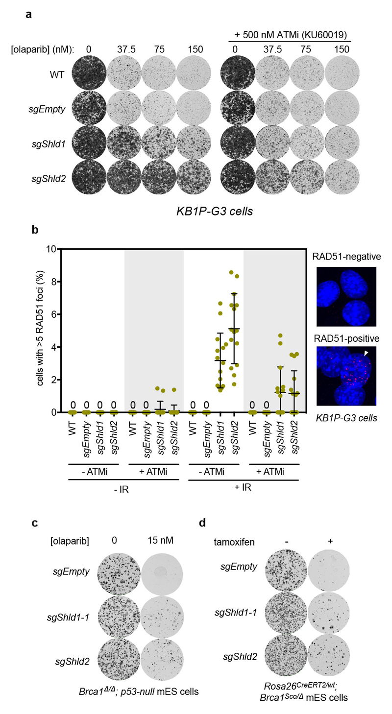 ED Figure 3