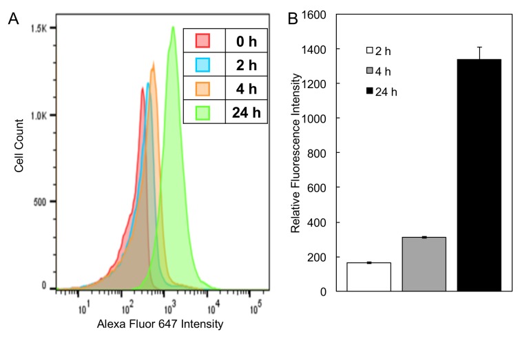 Figure 7