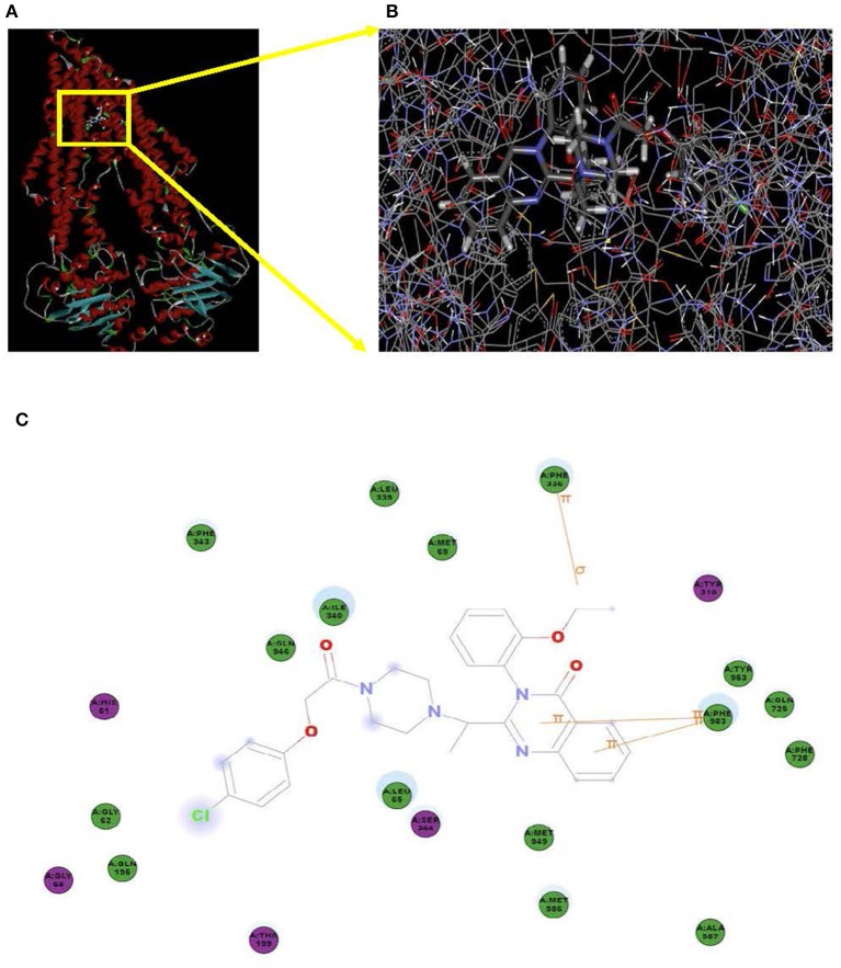 Figure 7