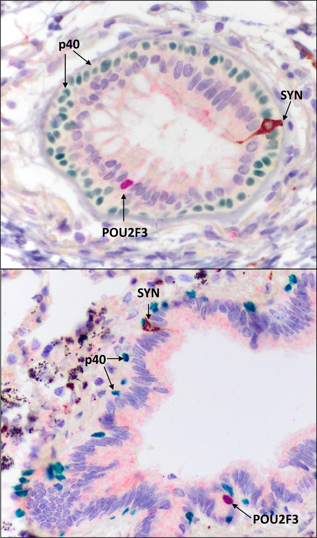 Figure 6.