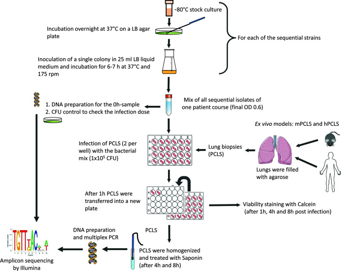 Figure 1