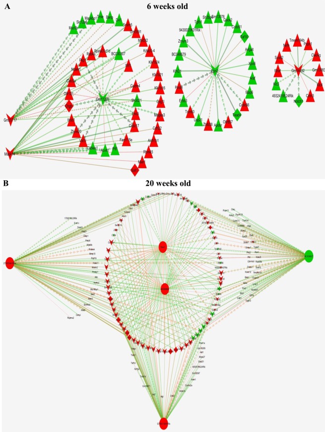 Figure 11