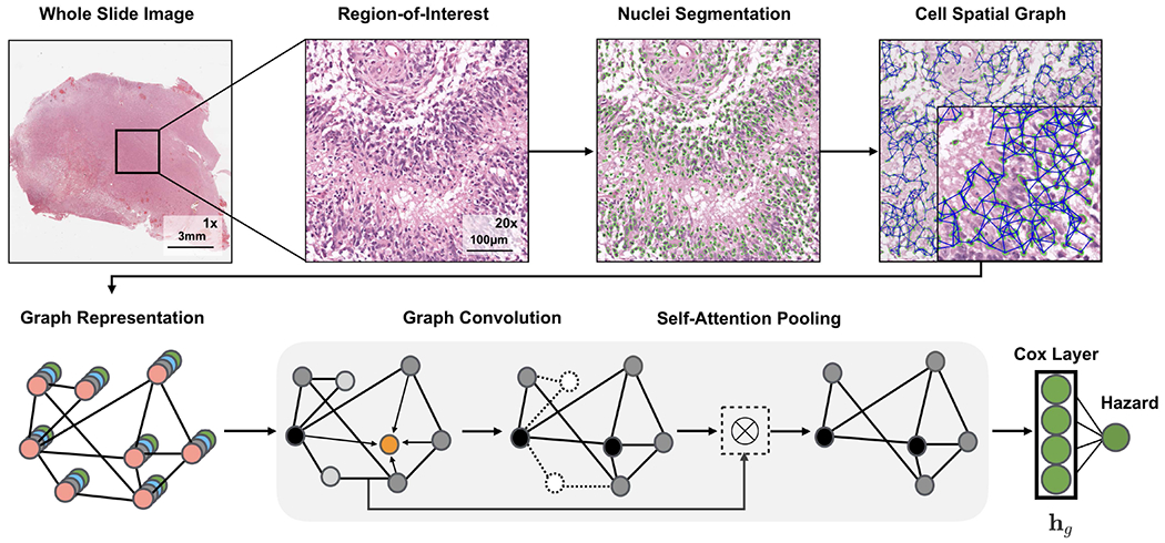 Fig. 2: