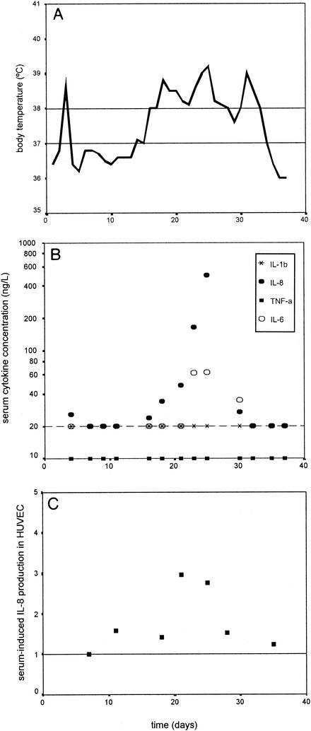 FIG. 2.