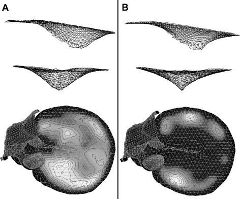 Fig. 12