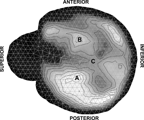 Fig. 4