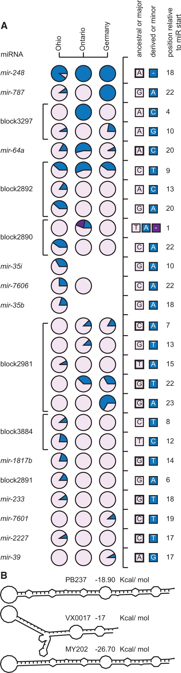 Fig. 3.—