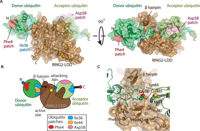 Figure 4.