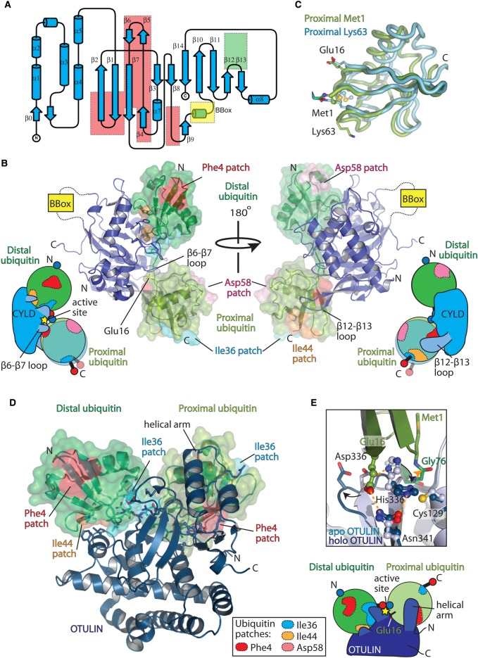 Figure 6.