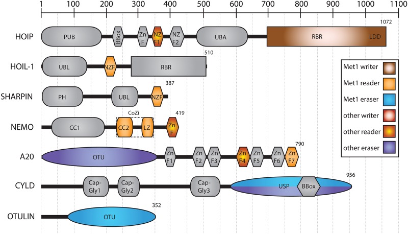 Figure 3.