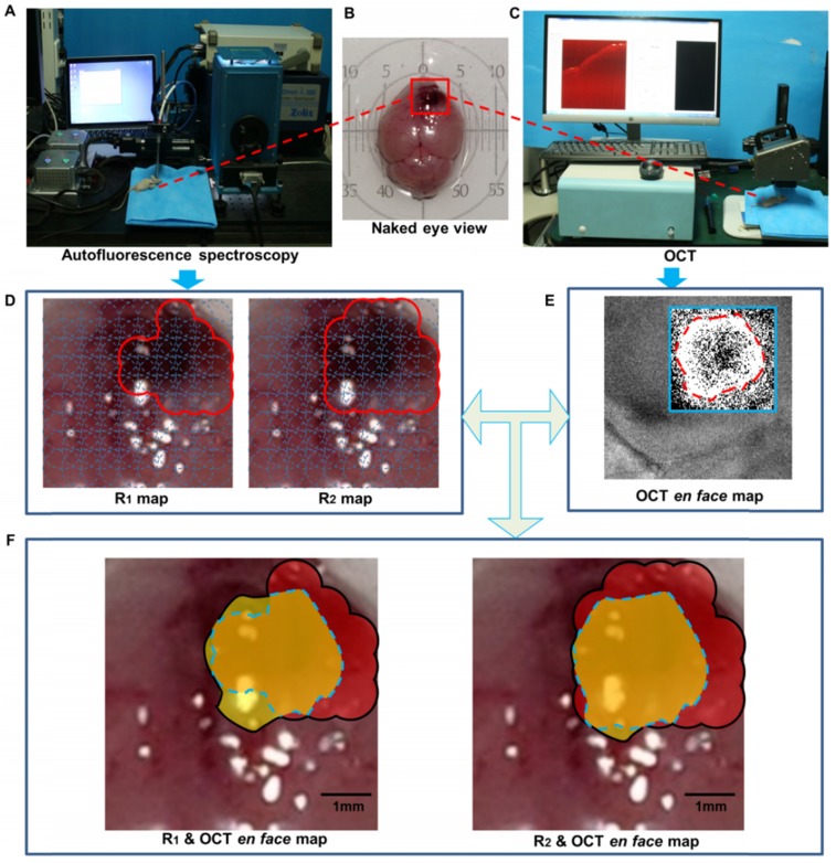 Figure 14