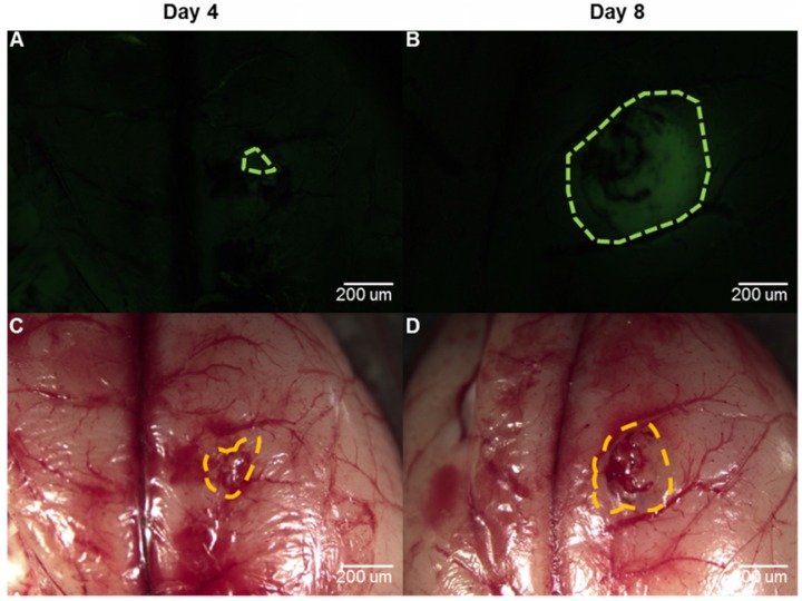 Figure 15