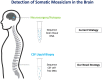 Graphical Abstract