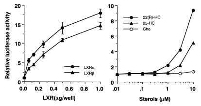 FIG. 7